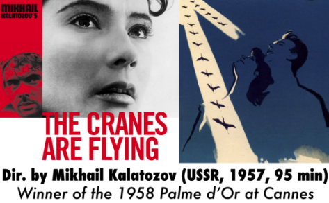 cranes are flying